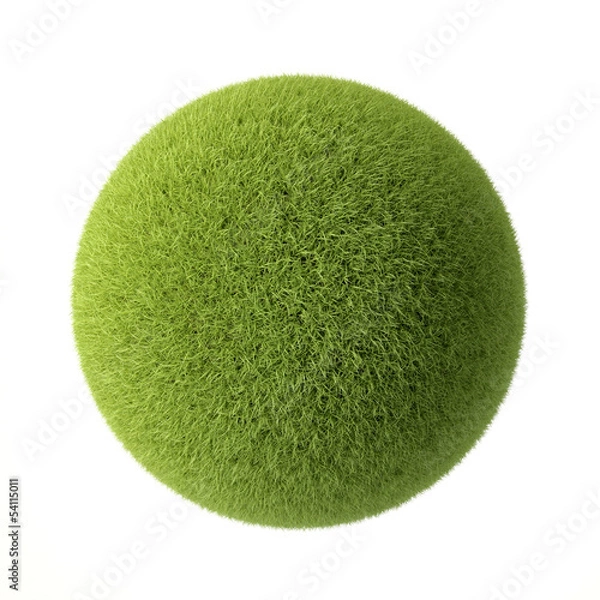 Obraz Green grass ball