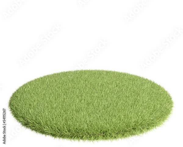 Obraz Green grass field