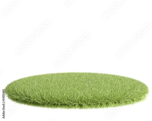 Obraz Green grass field on white