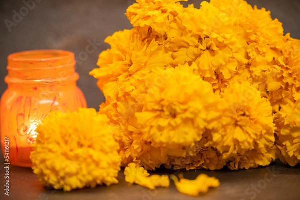 Obraz on a dark background, orange flowers - marigolds and a burning candle in an orange pot