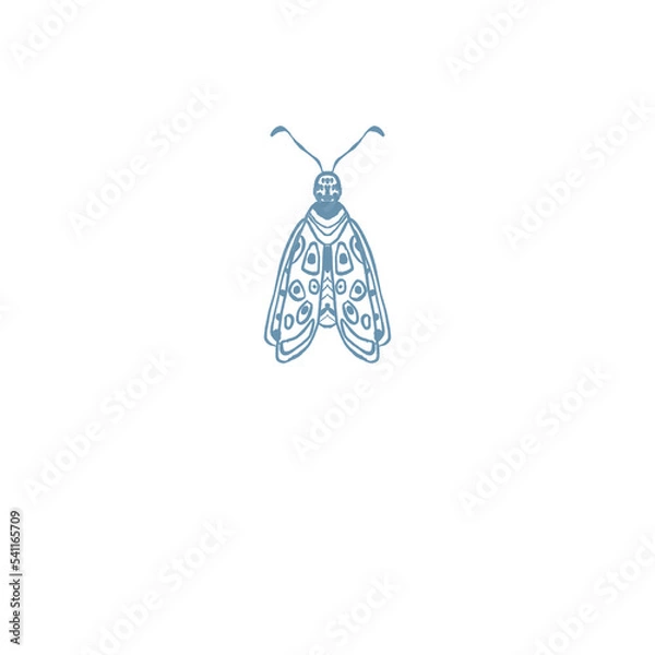 Obraz Moth, Butterfly Insect illustration logo png