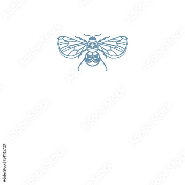 Obraz Bumblebee Insect illustration logo png