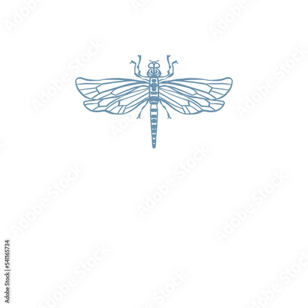 Obraz Dragonfly Insect illustration png
