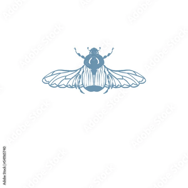 Obraz Beetle Scarab Insect illustration logo png