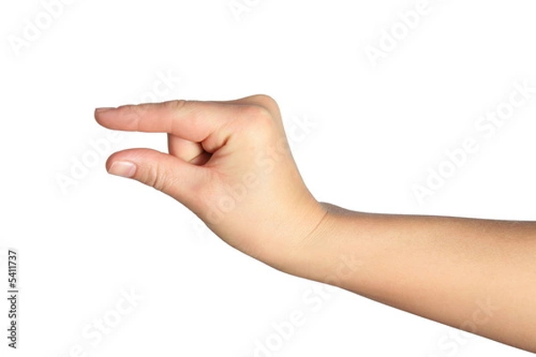 Obraz Something small