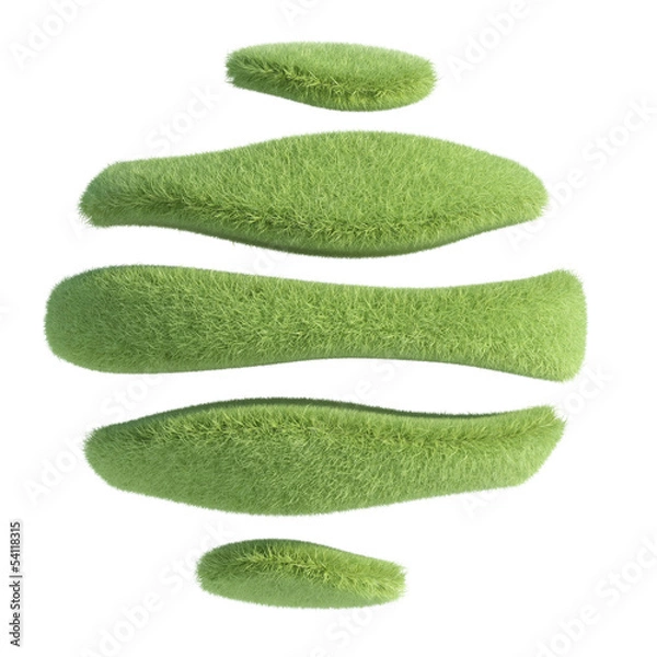 Obraz Segmented sphere with grass