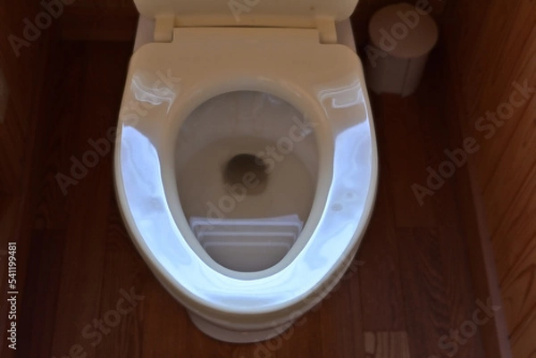 Fototapeta 正面から見た便器と便座