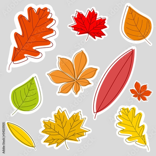 Fototapeta Labels with colorfull, autumn leaves, abstract. Oak, chestnut, maple.