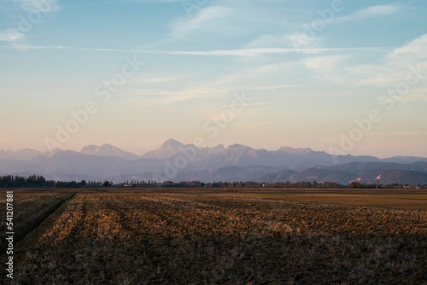 Fototapeta Enjoy the sunset at the woods