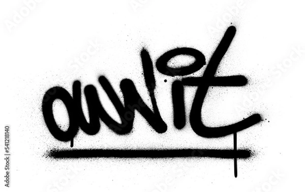 Fototapeta graffiti own it text sprayed in black over white