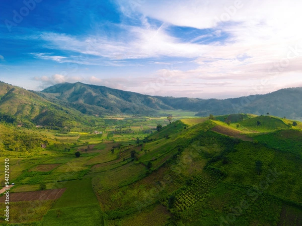 Fototapeta Aerial view of Chu Dang Ya volcano mountain with Da Quy flower or Tithonia diversifolia flower near Pleiku city, Gia Lai province, Vietnam
