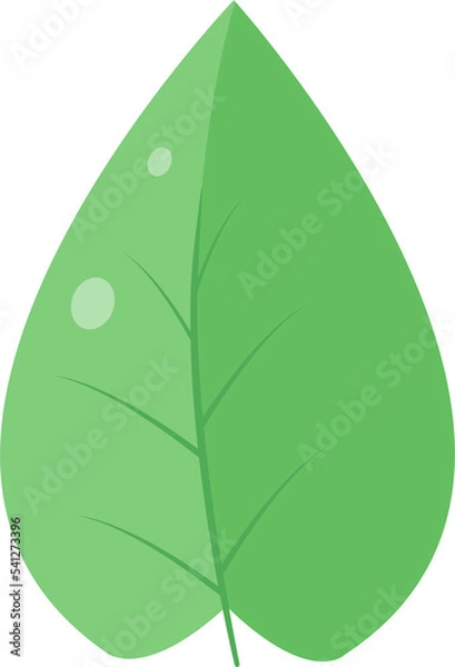 Obraz This is a leaf