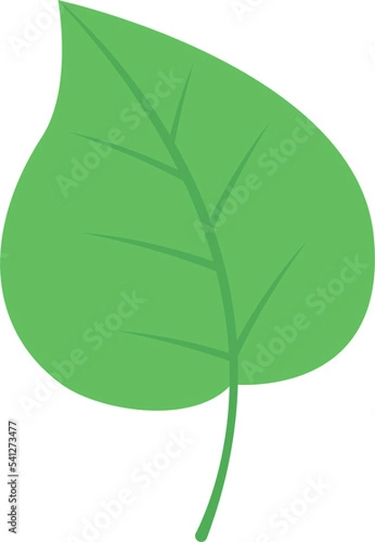 Obraz This is a leaf