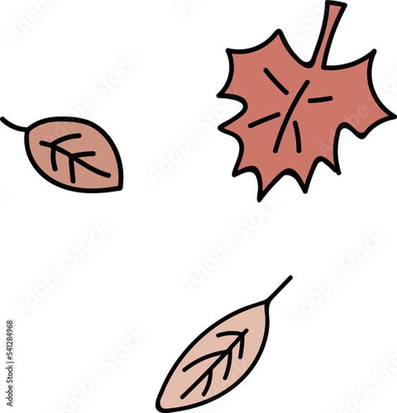 Obraz Brown leaves falling illustration