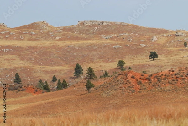 Obraz landscape in the desert