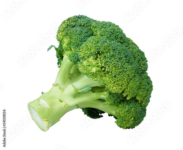 Fototapeta Broccoli isolated on white background with PNG.