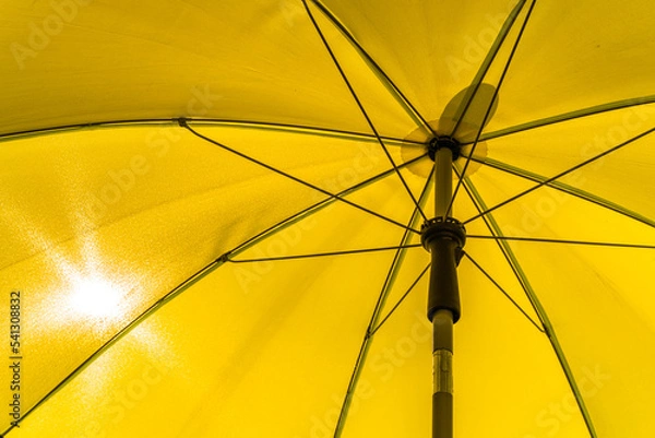 Obraz Auf dem Balkon