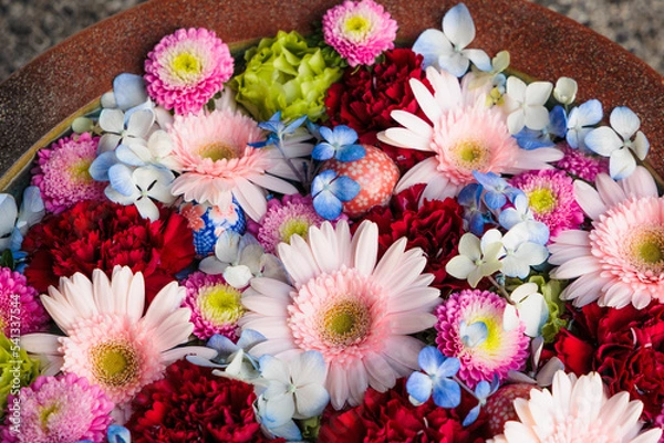 Fototapeta 花手水