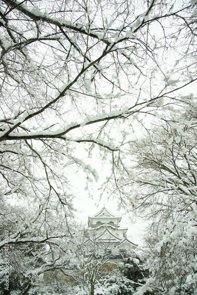 Obraz 雪の彦根城