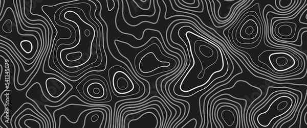 Fototapeta Abstract topographic map background. Imitation of a geographical map. Geographic map conceptual design. Elegant background for presentations.