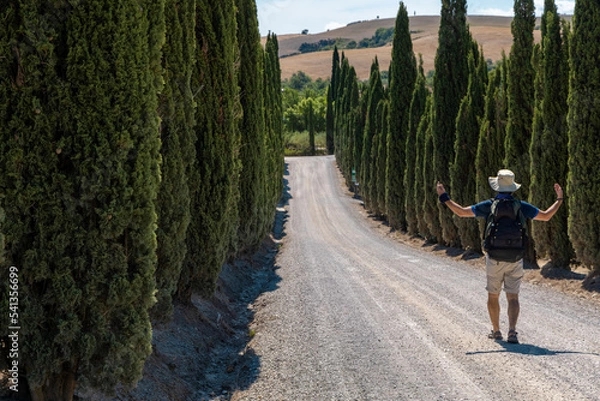 Fototapeta Man walking along via Francigena mud road with cypress trees on the both sides of the track.  Monteroni d'Arbia, route of the via francigena. Siena province, Tuscany. Italy, Europe.