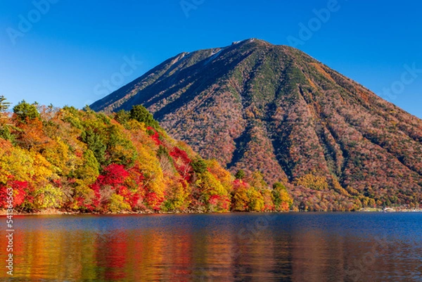 Fototapeta 紅葉の中禅寺湖から男体山の眺め