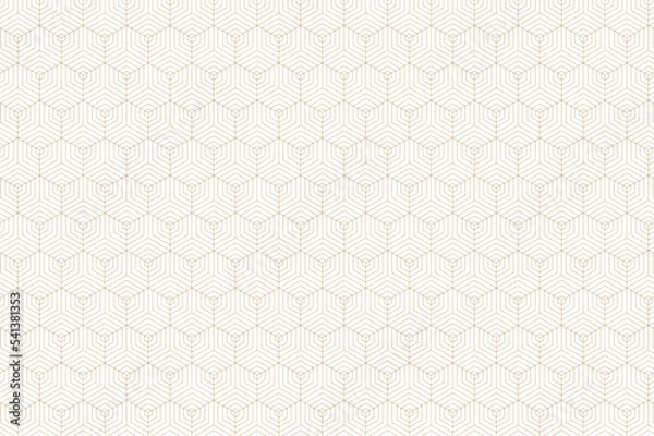 Fototapeta Geometric linear pattern background Free Vector