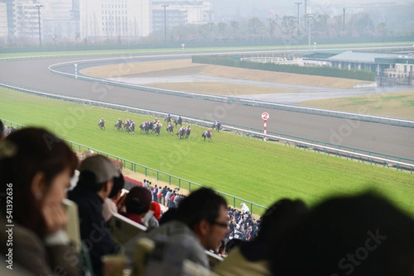 Fototapeta 競馬場の貴賓室からの眺め