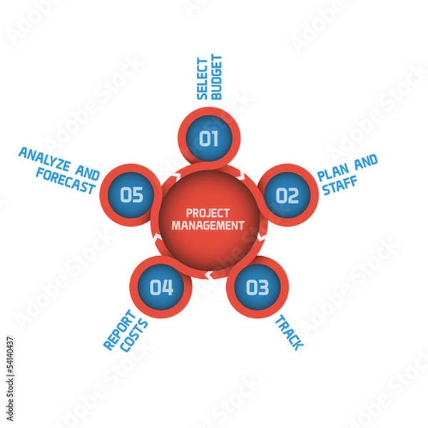 Fototapeta Modern Vector Project Management Graph
