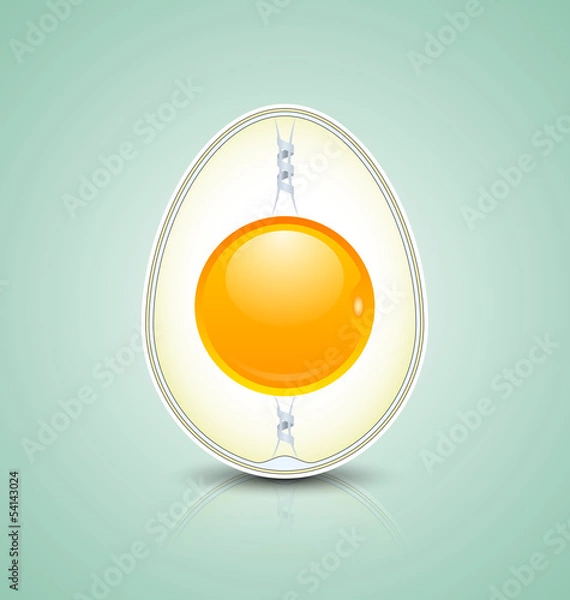 Obraz Egg cross section icon