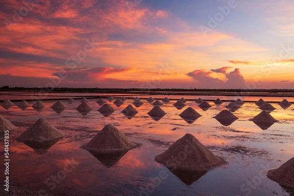 Obraz Salt farm and sunset