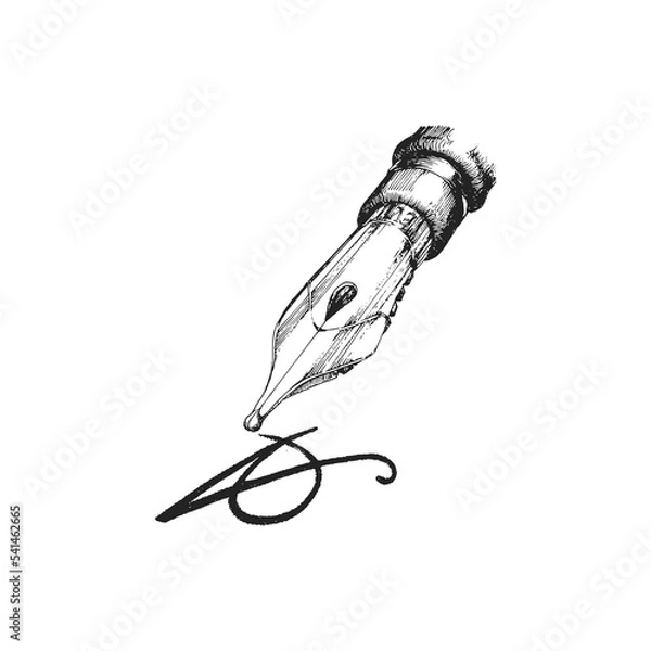 Fototapeta Pen nib, hand drawn illustration in vector