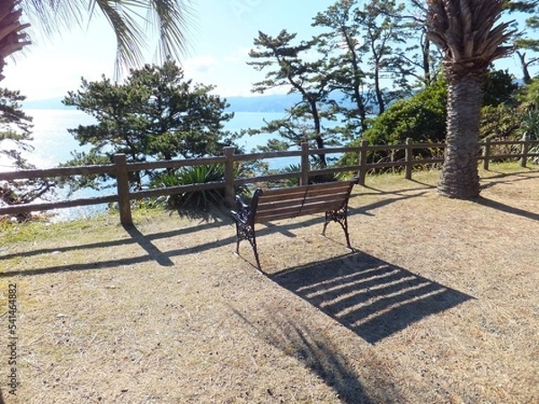 Obraz 海の見える丘のベンチ