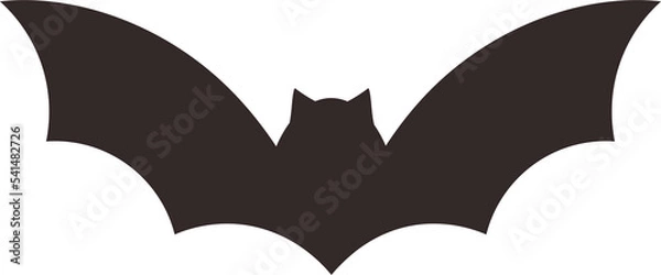 Obraz This is Halloween bat