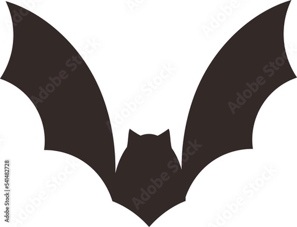 Obraz This is Halloween bat
