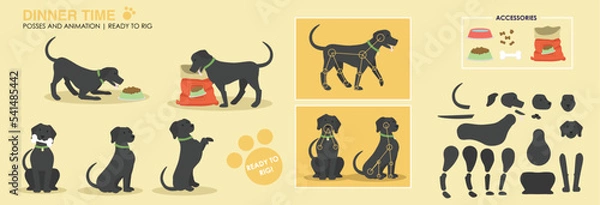 Obraz Dog character ready to rig for animation. Vector assets. Black Labrador dog eating dog food with accessories and additional poses. Collection, set. 