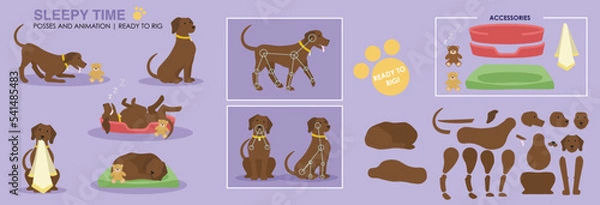 Obraz Sleepy Dog poses positions and ready to rig for animation vector. comes with accessories such as dog basket, teddy bear and blanket. Multiple angles of the dog. Chocolate Labrador. 