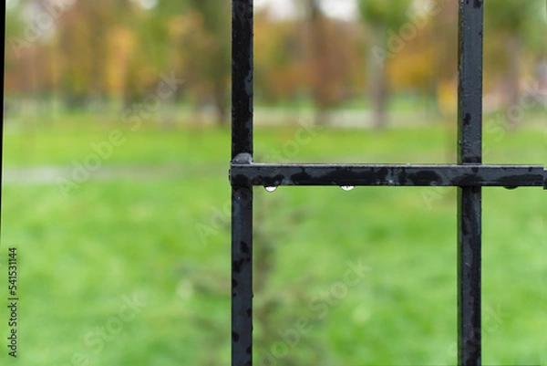 Obraz Large metal grating against the background of an autumn park
