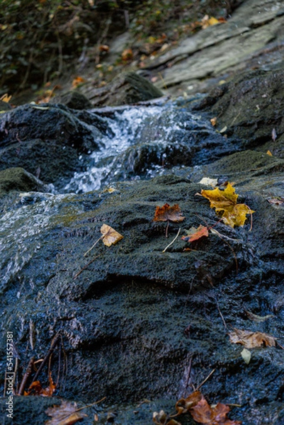 Fototapeta a close up of a rock with waterfall in woods