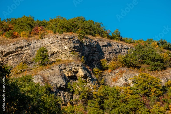Fototapeta a rocky landscape with bushes on top of old quarry
