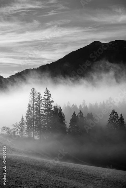 Obraz Landschaft in der Morgensonne in schwarz weiß mit berg und bäumen