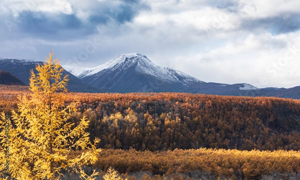 Fototapeta autumn landscape in the mountains