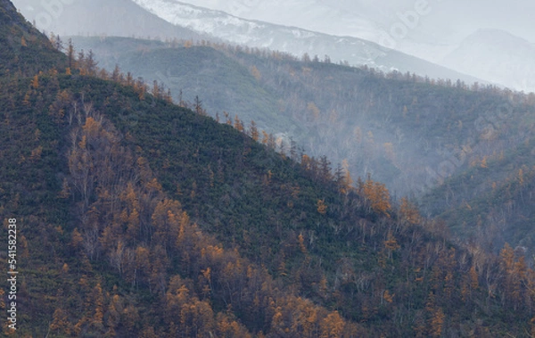 Fototapeta mountains in the snow