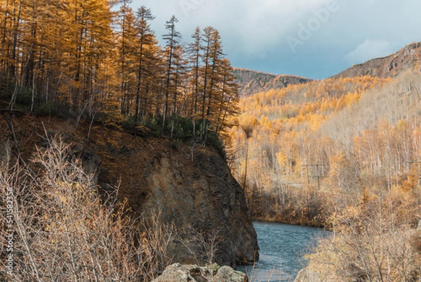 Fototapeta autumn in the mountains