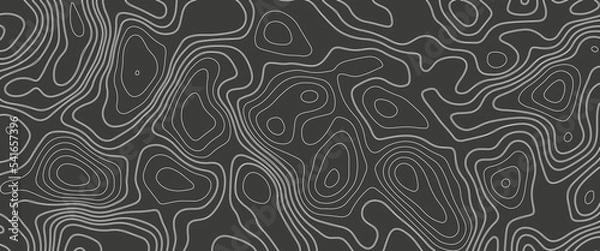 Fototapeta Abstract topographic map background. Abstract topographic map background. Imitation of a geographical map. Geographic map conceptual design. Elegant background for presentations.