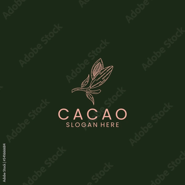 Fototapeta Chocolate, cocoa fruits logo template. Chocolate cocoa beans cocoa pod and plant cacao vector design Nature.