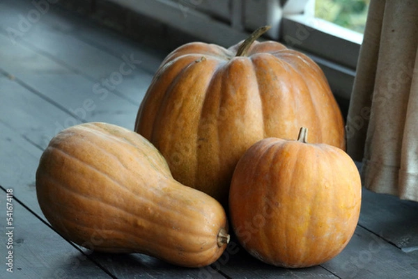 Obraz pumpkin on a wooden table