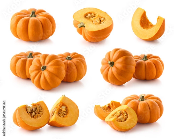 Obraz Set of fresh whole and sliced pumpkins