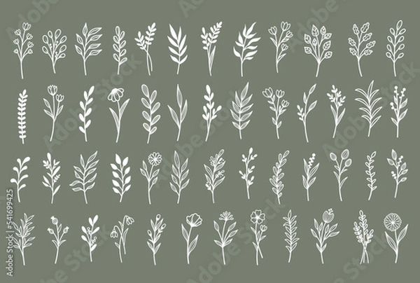 Fototapeta Vector set template for laser cutting and Plotter. Set of branches with flowers and leaves. Plants for decoration. White objects on a background.