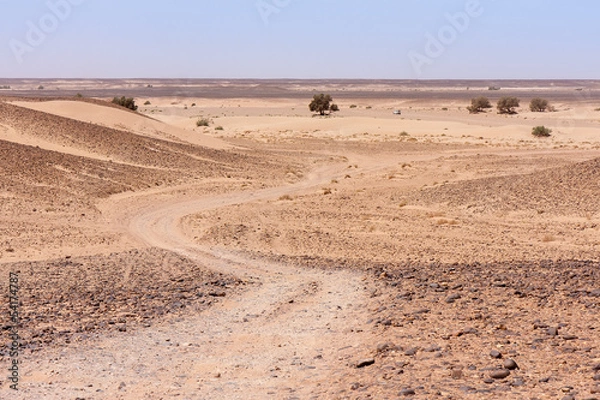 Obraz Piste 4*4 dans le désert